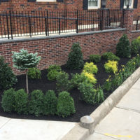 Hattoy's professional landscaping services commercial and residential