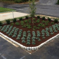 Hattoy's Commercial Parking Lot Landscaping