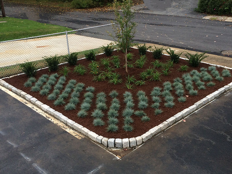 Hattoy's Commercial Parking Lot Landscaping