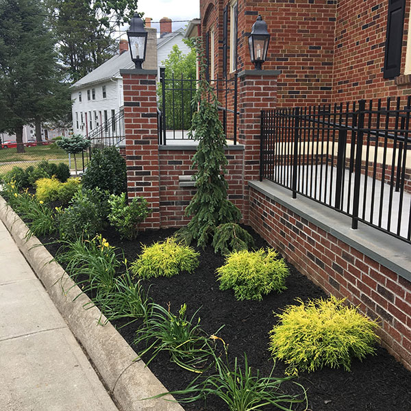 Hattoy's Commercial Building Landscaping