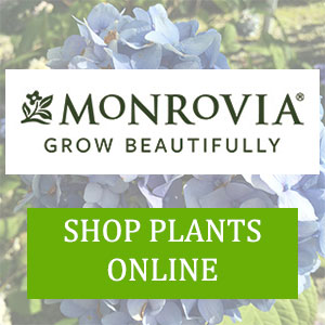 Shop Monrovia Online