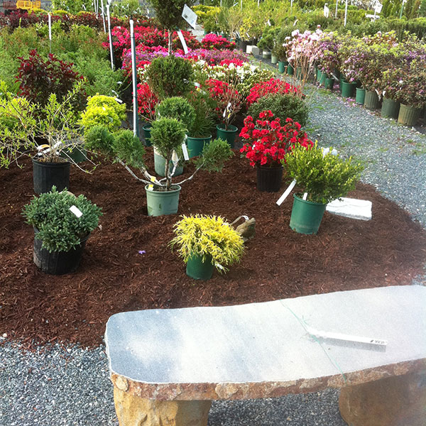 Hattoy's Garden Center Stone Bench