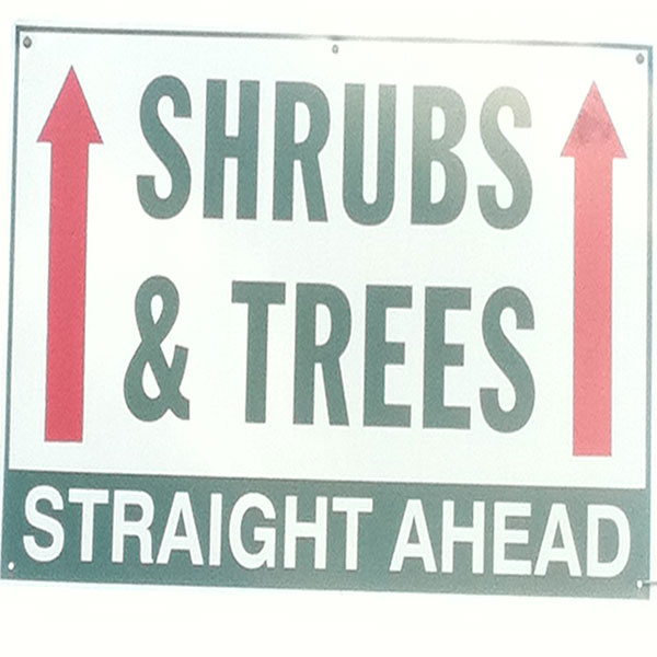 Hattoy's carries shrubs & trees