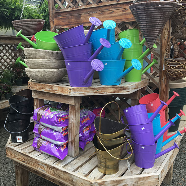 Hattoy's Garden Center in stock